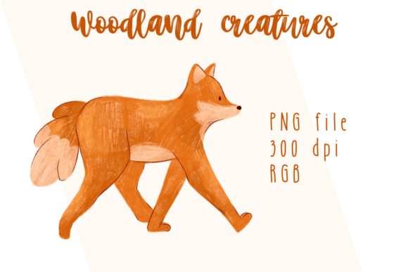Download Woodland Creatures - Woodland creatures Collection